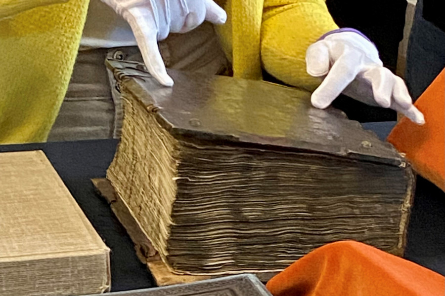 Kornik Fot. A. Kubicka900 600